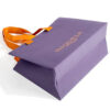 Foil Stamped Boutique Paper Gift Bag with Ribbon Handles Foil Stamped Boutique Paper Gift Bag with Ribbon Handles